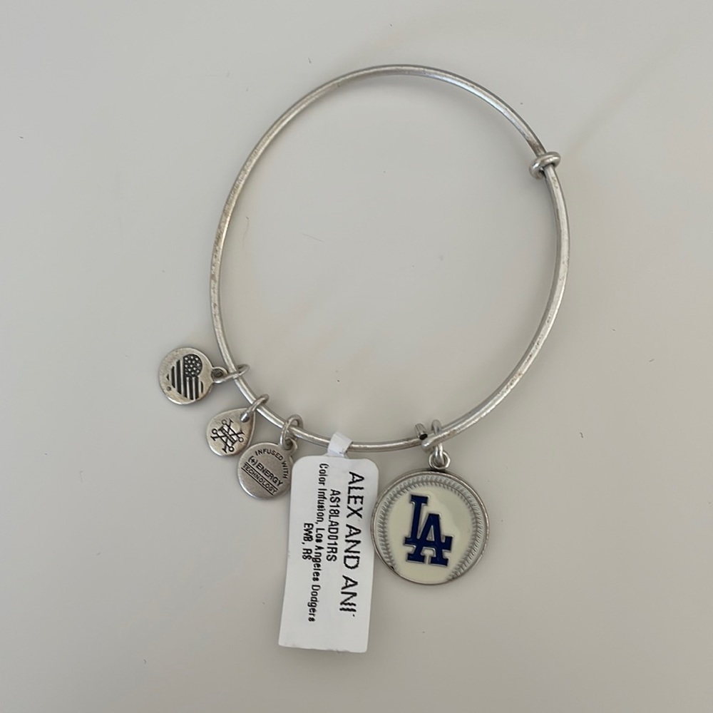 Alex and Ani charm bracelet